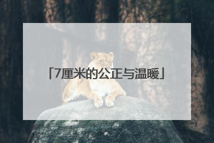 7厘米的公正与温暖