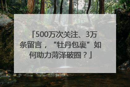 500万次关注、3万条留言，“牡丹包裹”如何助力菏泽破圈？