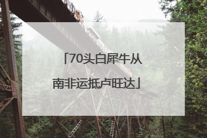 70头白犀牛从南非运抵卢旺达