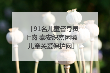 91名儿童督导员上岗 泰安织密困境儿童关爱保护网