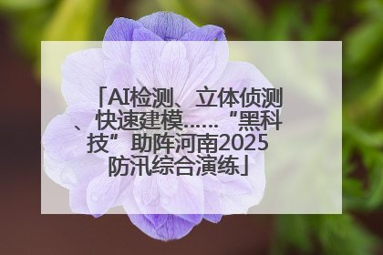 AI检测、立体侦测、快速建模……“黑科技”助阵河南2025防汛综合演练