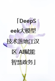 DeepSeek大模型技术落地江汉区 AI赋能智慧政务